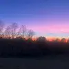 Phyllis Caudill Albright - @phylliscaudillalb - TikTok