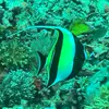 Phyllis - @phyllis.champion - TikTok