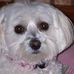 Phyllis Chase - Facebook