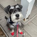 Phyllis Choi - @qqsilver0809 - Instagram
