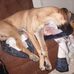 Phyllis Chrisman - Facebook