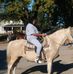 Phyllis Clanton - Facebook