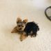 Phyllis Conn - Facebook