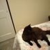 Phyllis Corr - Facebook