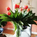 Phyllis Cousins - @p.cuzsins - Instagram