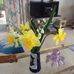Phyllis Crisp - Facebook