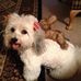Phillis Crouch - Facebook