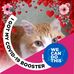 Phyllis Crow - Facebook