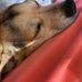 Phyllis Crow Heinze - Facebook