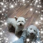 Phyllis Daigle - @daigle5862 - Instagram