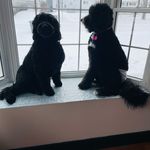 Phyllis Daigle. Mireille Godin - @theadventuresofpyperandjojo - Instagram