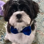 Phyllis Daly - Facebook