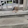 Phyllis Daniel - @phyllis.daniel83 - TikTok