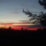 Phyllis Dennis - @grammapunkie5 - Instagram