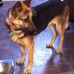 Phyllis Dickey - Facebook