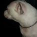Michael Anthony Pollis - Facebook