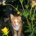 Phyllis Dowdy - Facebook