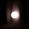 phyllisearlee - @phyllisearlee - TikTok
