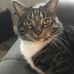 Phyllis Eby - Facebook