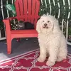 Phyllis24 Elder - @phyllis24.elder - TikTok