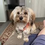 Phyllis Elder - @phylliselder78 - Instagram