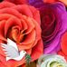 Phyllis Elder - Facebook