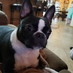 Phyllis Ellsworth - @virofelix - Instagram