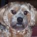 Phyllis Ely - Facebook