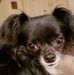 Phyllis Epps - Facebook