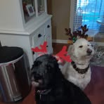 Phyllis Eubanks - Facebook