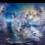 Phyllis Eversole - Facebook