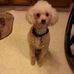 Phyllis Feldman - Facebook