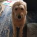 Phyllis Feldman - Facebook