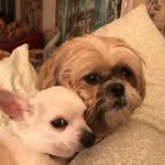 Phyllis Feldman - @pefmrf51 - Instagram