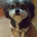 Phyllis Folsom - Facebook