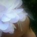 Phyllis Fuchs - Facebook