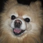 Phyllis Fuchs - @fuchs8337 - Instagram