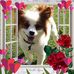 Phyllis Rituper Galea - Facebook