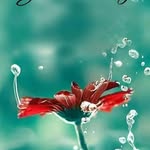 Phyllis Galloway - @socmom13 - Instagram