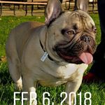 Phyllis Garcia Griffith - @phillysfrenchys - Instagram
