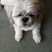Phyllis Garrick - Facebook