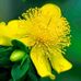 Phyllis Garvin - Facebook