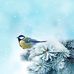 Phyllis Gary - Facebook