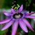 Phyllis Gifford - Facebook