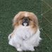 Phyllis Gorman - Facebook
