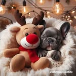 Phyllis Jahncke Gorman - @phyllis060883 - Instagram