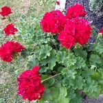 Phyllis Kilborn Gould - @phyllis.gould - Instagram