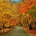 Phyllis Griffith - Facebook