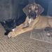 Phyllis Griffith - Facebook