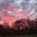 Phyllis Grubb - Facebook